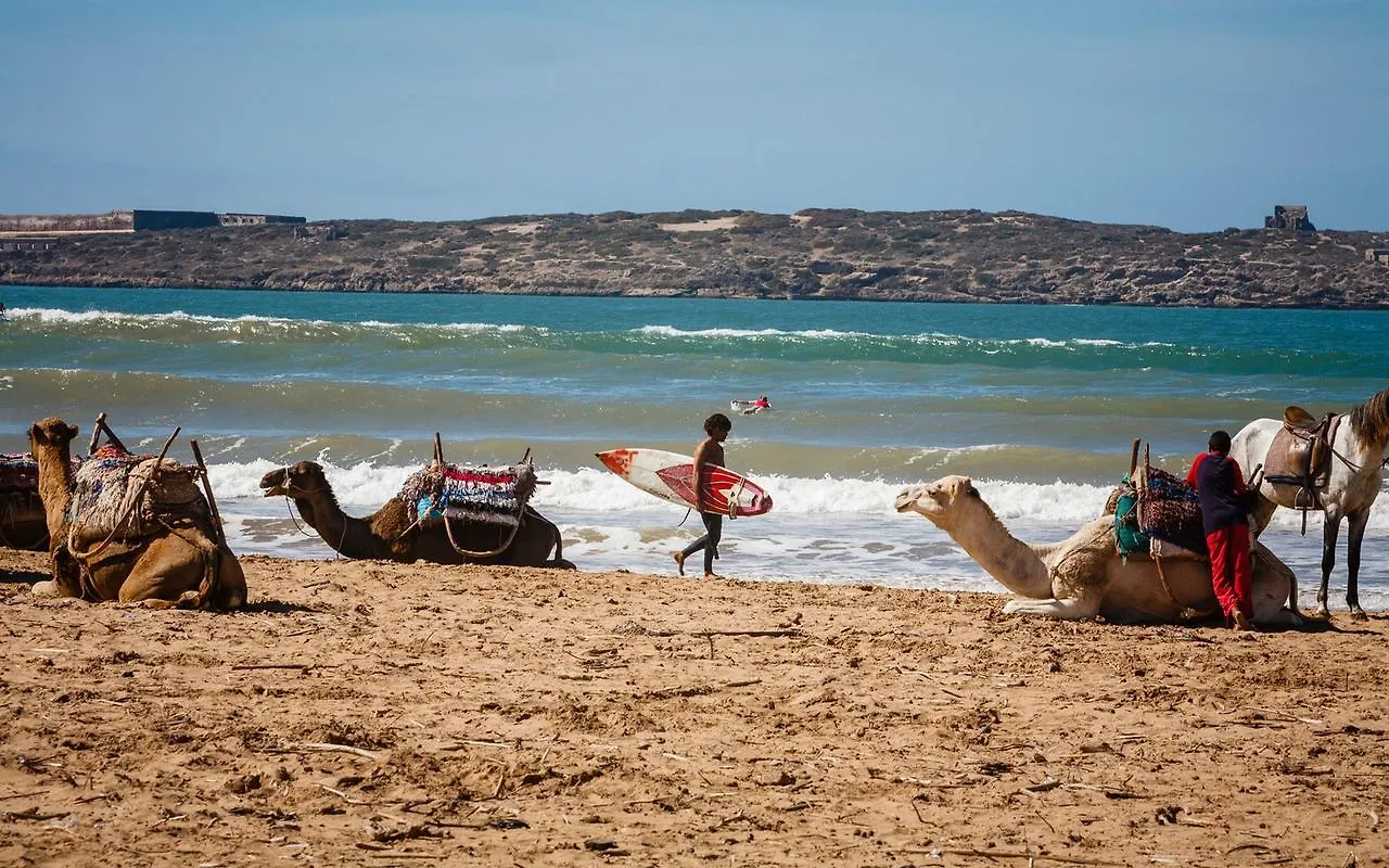 Appartement Residence Mogador Beach Essaouira Maroc