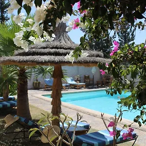 Sanam Essaouira